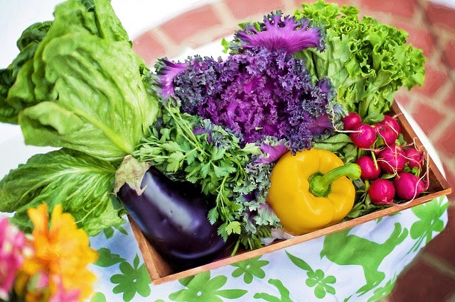 vendee mag conseil jardinage mois de mars - entretien de jardin plantation potager fleur idées2