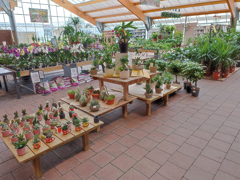Magasin Vert Montaigu Vend e Le Sp cialiste De Votre Jardin Vend e Mag Magasin Vert Montaigu Vend e Le Sp cialiste De Votre Jardin Vend e Mag