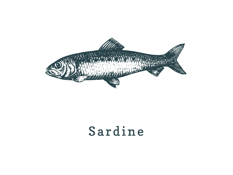 Saint-Gilles-Croix-de-Vie la sardine du Pays : une reine à votre table !