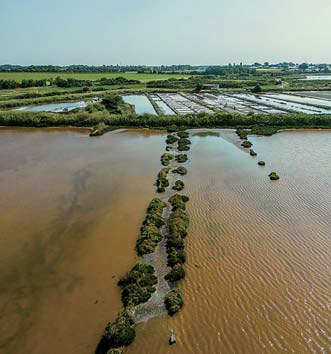 Vue aérienne des Marais de la Fontaine où travaille Ludovic Traineau et les sauniers 