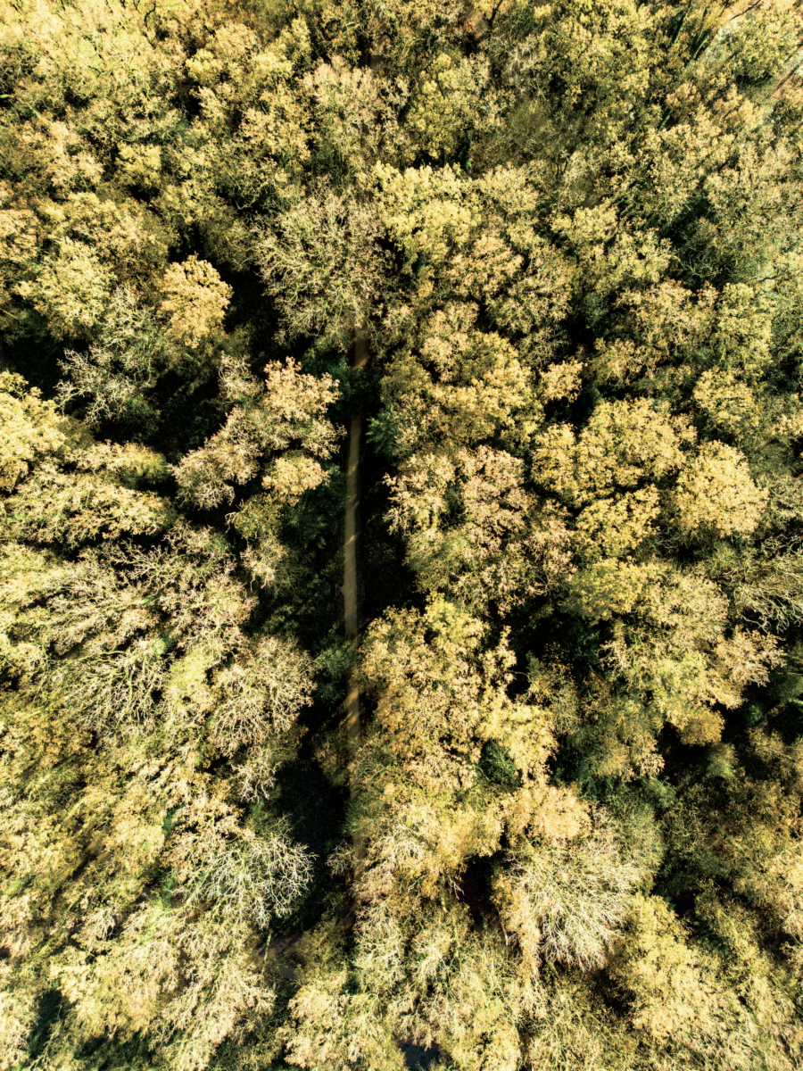 Vue du ciel du Parc du Landreau