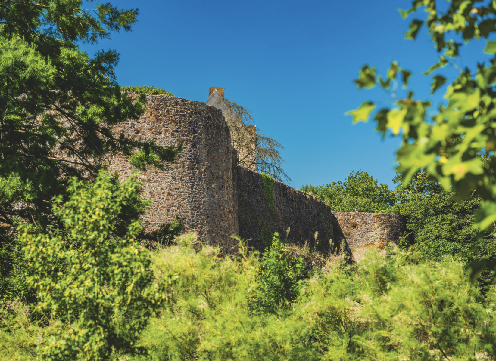 Un ancien mur de forteresse en pierre, partiellement recouvert d'un feuillage vert, résiste au milieu des arbres sous un ciel bleu clair près de Veillon. - Édition Offset 5 (Partenaire de votre communication locale en Vendée)
