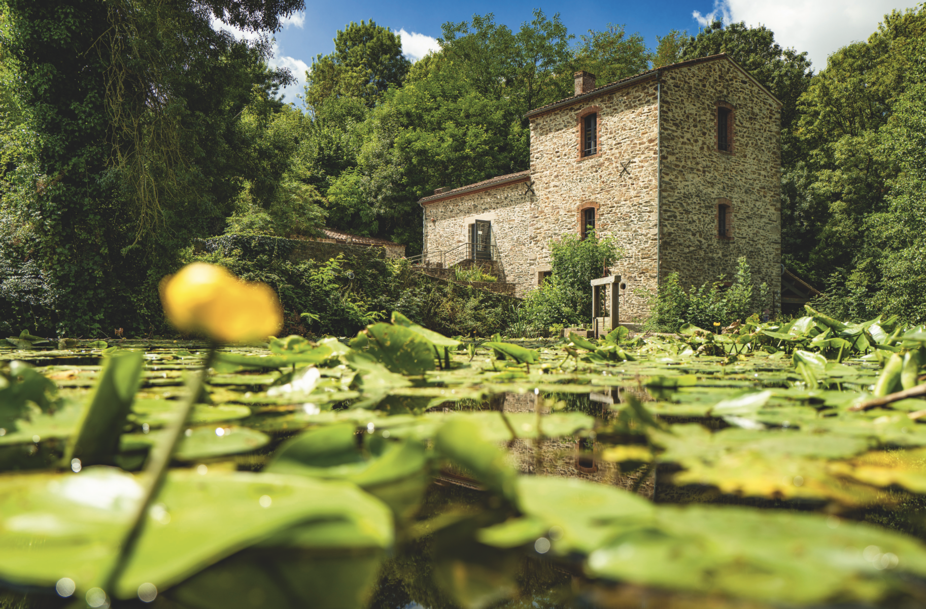 Une maison en pierre du Veillon, entourée d'arbres denses et verts, se trouve près d'un étang rempli de nénuphars et de fleurs jaunes, sous un ciel bleu partiellement nuageux. - Édition Offset 5 (Partenaire de votre communication locale en Vendée)