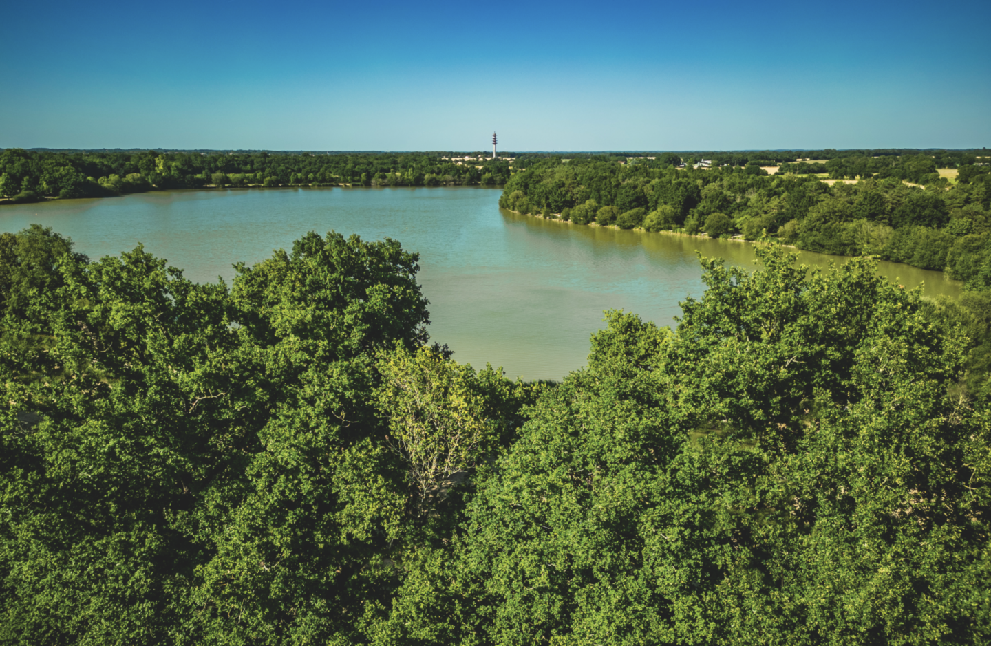 Un grand lac bordé d'arbres est entouré d'une forêt verte dense sous un ciel bleu clair ; la tour du Veillon, rouge et blanche, est visible à l'horizon. - Édition Offset 5 (Partenaire de votre communication locale en Vendée)