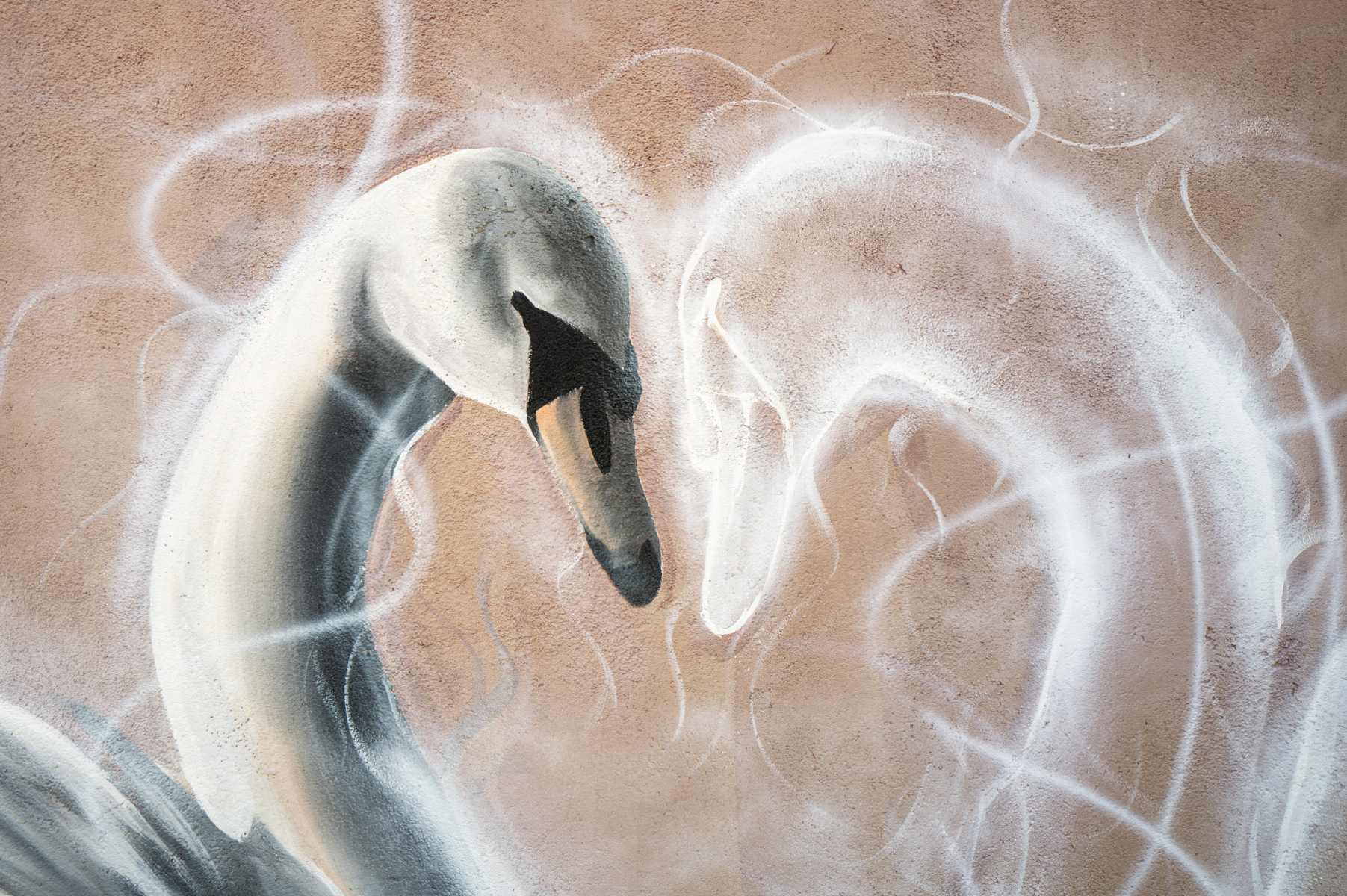 Une peinture murale de Simon Boisliveau représente deux cygnes face à face, au cou gracieusement incurvé, entourés de douces lignes blanches tourbillonnantes sur un fond texturé brun clair. L'un des cygnes est détaillé, tandis que l'autre semble éthéré et effacé. - Édition Offset 5 (Partenaire de votre communication locale en Vendée)