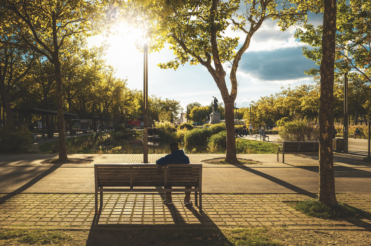 Une personne est assise seule sur un banc public sous de grands arbres, la lumière du soleil traversant les feuilles et projetant de longues ombres - une scène paisible qui rappelle une peinture de Veillon. Des allées, de la verdure et des promeneurs apparaissent à l'arrière-plan. - Édition Offset 5 (Partenaire de votre communication locale en Vendée)