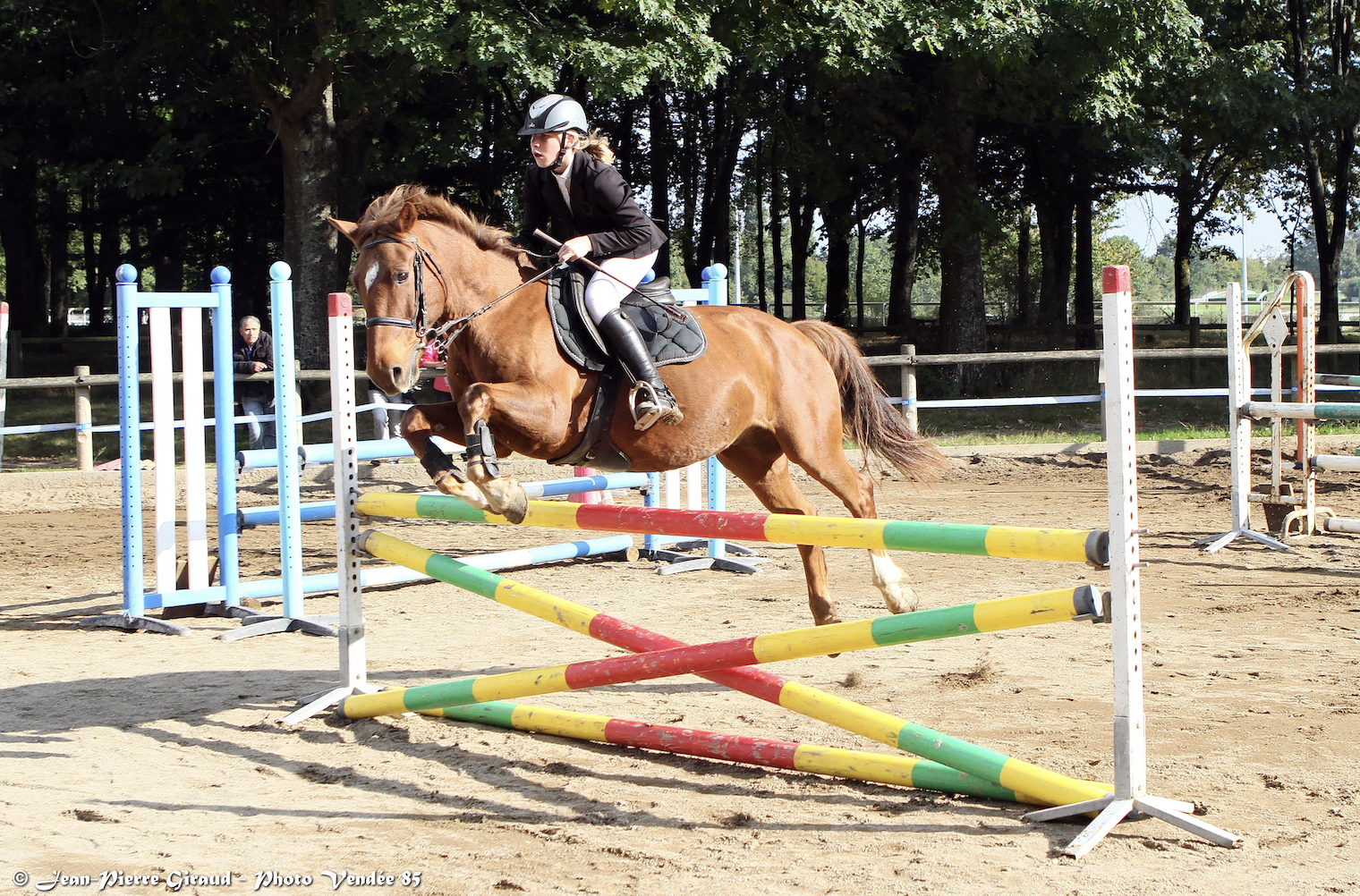 Un cavalier portant un casque et une tenue de spectacle fait sauter un cheval marron sur un obstacle coloré dans un manège en plein air, reflétant l'esprit dynamique de La Roche-sur-Yon ville active et sportive, entouré d'arbres et de clôtures. - Édition Offset 5 (Partenaire de votre communication locale en Vendée)