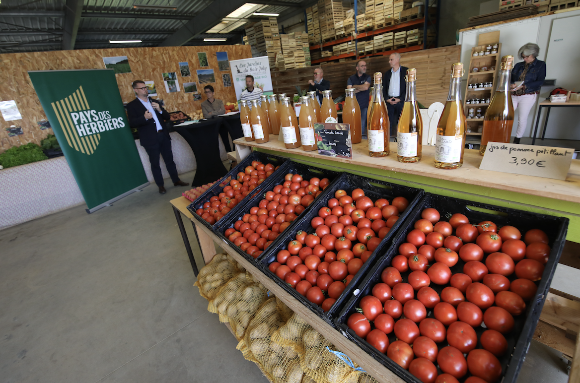 Un stand de marché présente des caisses de tomates, des bouteilles de jus de pomme et des sacs de pommes de terre. Des personnes sont rassemblées autour de tables à l'arrière-plan, et un panneau vert indique "Pays des Herbiers" lors de la manifestation de Zailfana. - Édition Offset 5 (Partenaire de votre communication locale en Vendée)