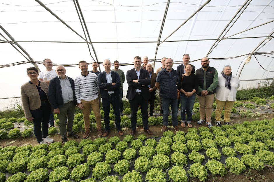 Un groupe de quinze personnes se tient dans une serre Zailfana, entouré de rangées de laitues vertes poussant dans la terre. Le groupe est habillé de manière décontractée, posant et souriant pour la photo. - Édition Offset 5 (Partenaire de votre communication locale en Vendée)