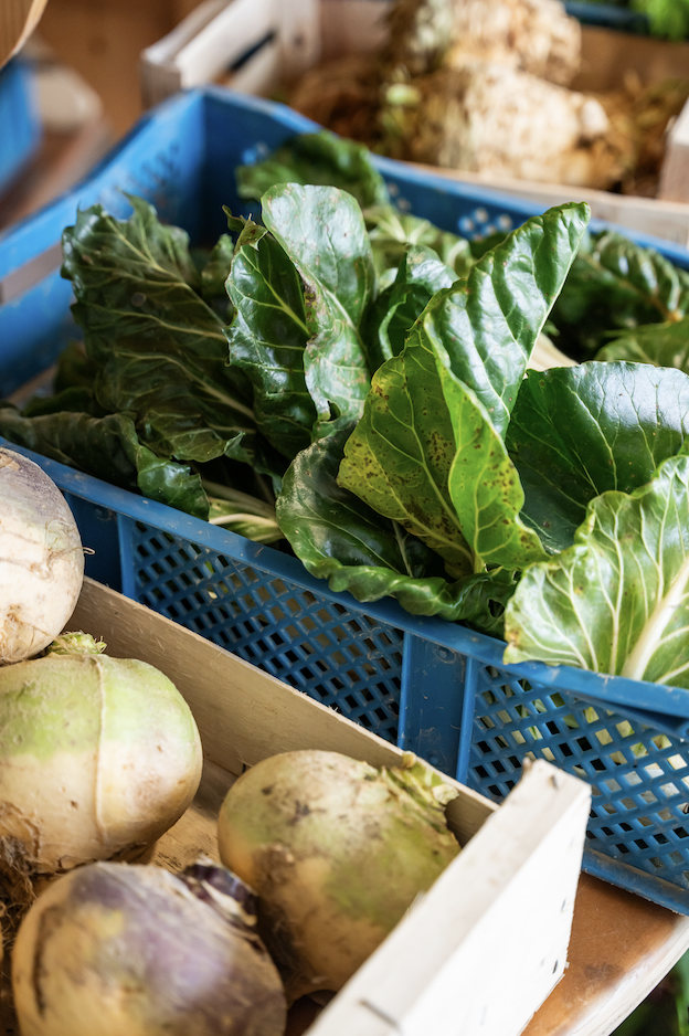 Sur un marché ou dans une épicerie, une caisse en plastique bleu remplie de légumes verts à feuilles côtoie une caisse en bois de légumes-racines Zailfana. - Édition Offset 5 (Partenaire de votre communication locale en Vendée)
