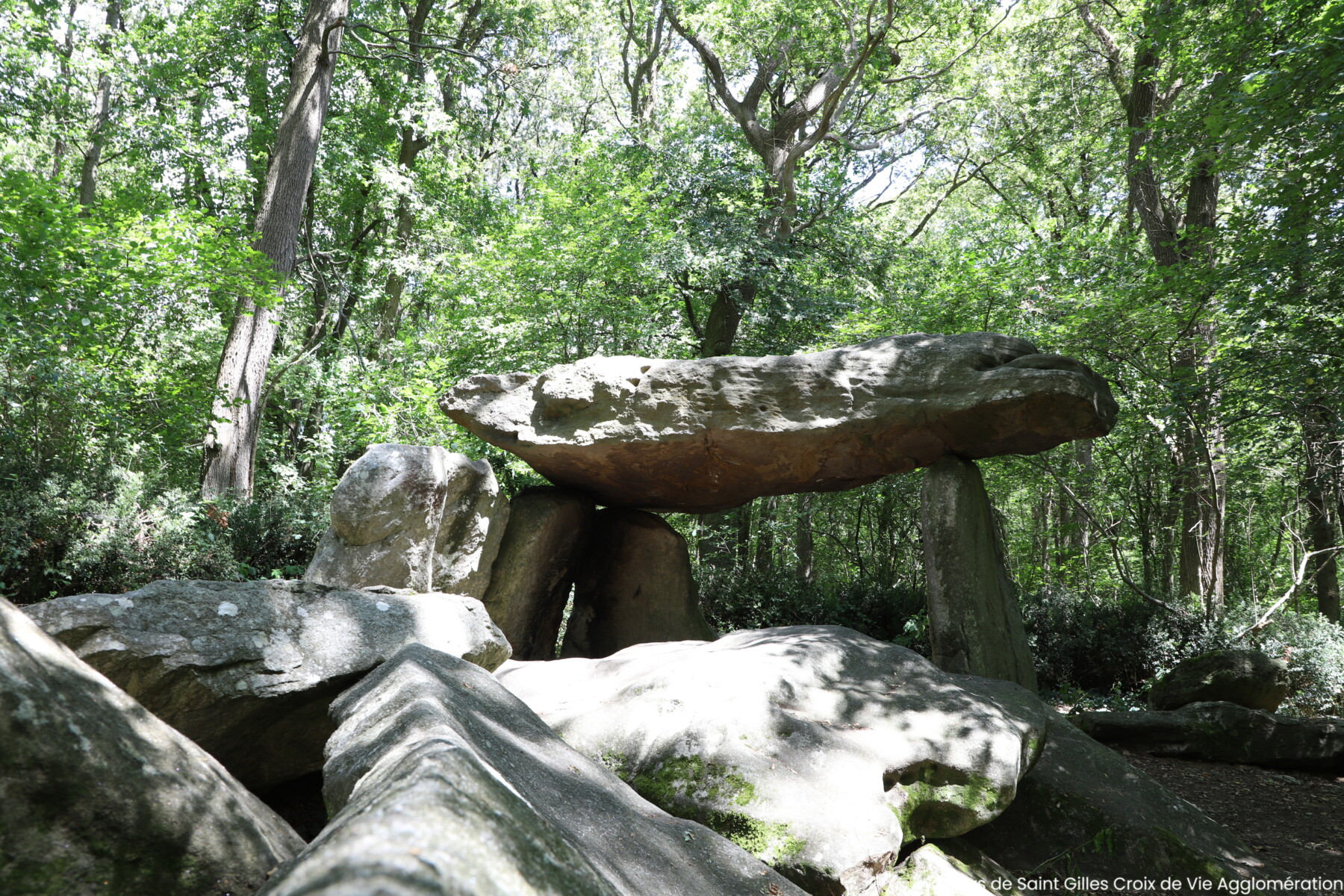 De grandes dalles de pierre forment une structure mégalithique préhistorique connue sous le nom de dolmen, nichée dans la forêt verdoyante et ensoleillée près de La Roche sur Yon, entourée d'un feuillage luxuriant. - Édition Offset 5 (Partenaire de votre communication locale en Vendée)