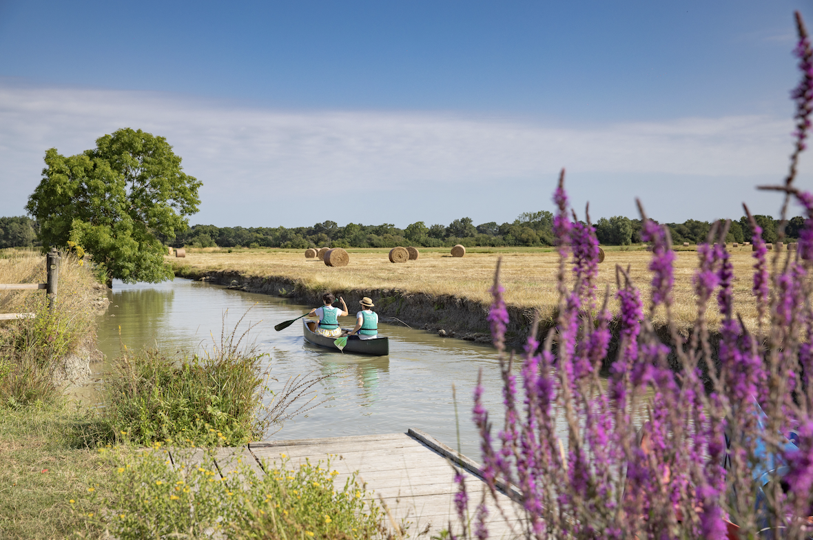 Deux personnes pagaient sur un canoë le long d'un canal étroit, encadré de fleurs sauvages et de verdure, avec des bottes de foin parsemant le champ rural. Sous un ciel bleu limpide, cette scène paisible donne l'impression d'être chez elle dans 2 Mains 4 Cornes. - Édition Offset 5 (Partenaire de votre communication locale en Vendée)