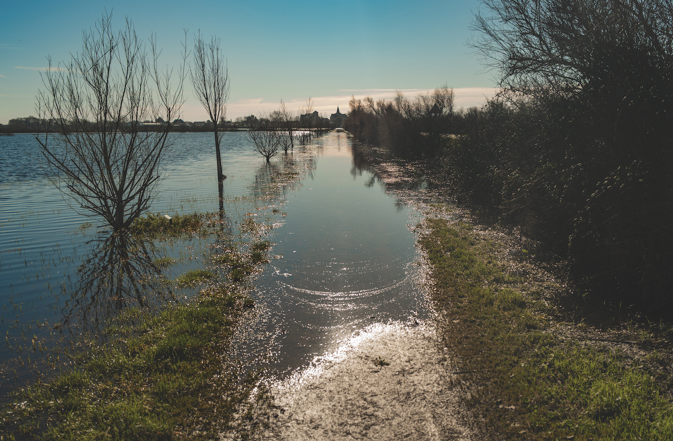Un chemin inondé bordé d'arbres dénudés est partiellement submergé par l'eau, reflétant la lumière du soleil. Des buissons bordent un côté du chemin, menant vers un bâtiment éloigné près de 2 Mains 4 Cornes sous un ciel bleu clair. - Édition Offset 5 (Partenaire de votre communication locale en Vendée)