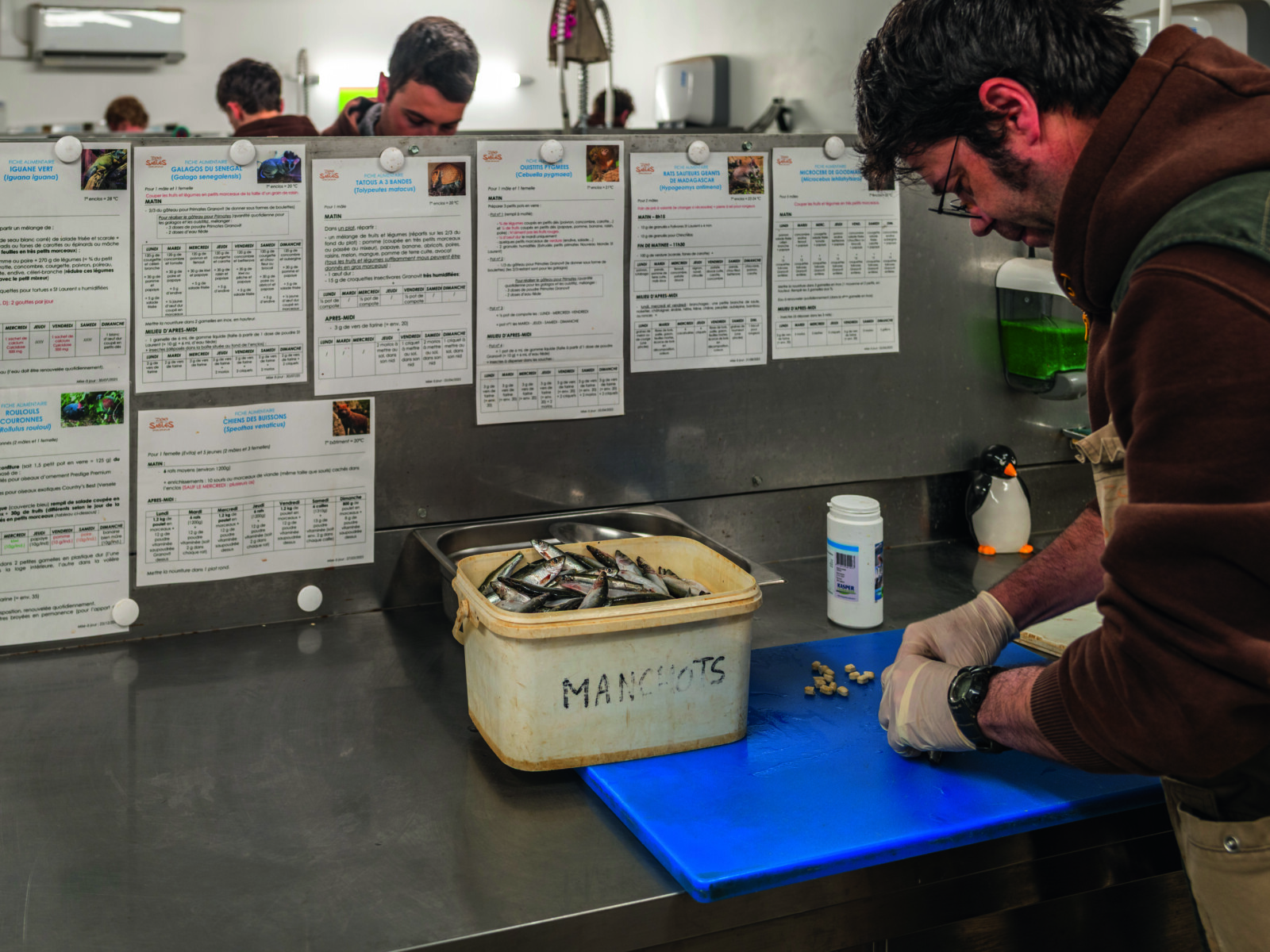 Dans un laboratoire, une personne portant des gants prépare des aliments pour animaux sur une planche à découper bleue. Derrière elle, des tableaux et des fiches de soins pour des animaux tels que 2 Mains 4 Cornes sont accrochés à un mur métallique au-dessus d'un bac étiqueté MANIOTS. - Édition Offset 5 (Partenaire de votre communication locale en Vendée)