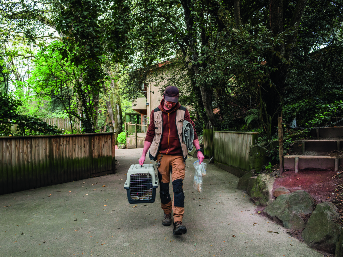 Une personne portant un équipement de plein air et un masque facial marche sur un sentier en portant une cage de transport pour animaux étiquetée "2 Mains 4 Cornes" et un sac en plastique, entourée d'arbres et de clôtures en bois dans un cadre ressemblant à un parc. - Édition Offset 5 (Partenaire de votre communication locale en Vendée)