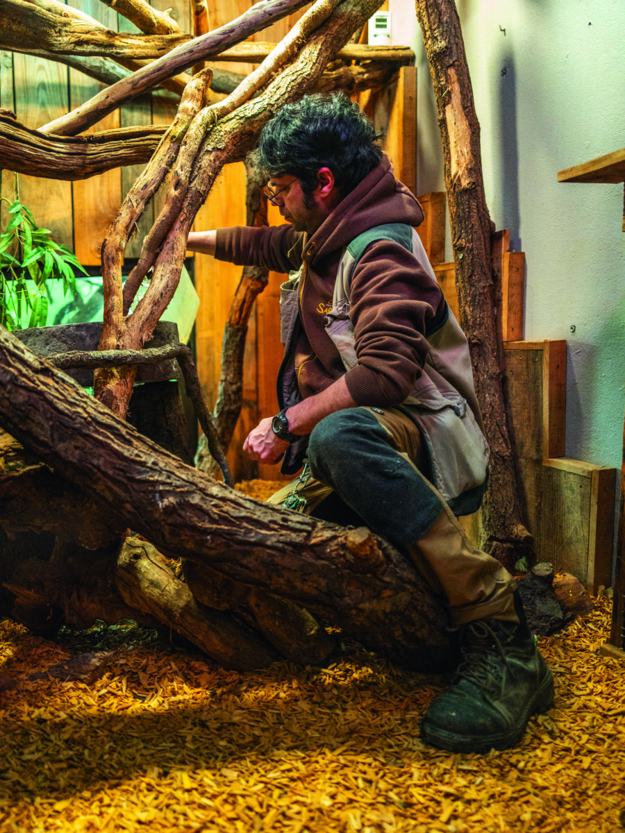 Une personne portant un sweat à capuche, un gilet et des bottes marron s'agenouille sur des copeaux de bois à l'intérieur de l'enceinte de 2 Mains 4 Cornes, et tend la main pour arranger les branches entre les troncs et les structures en bois. - Édition Offset 5 (Partenaire de votre communication locale en Vendée)